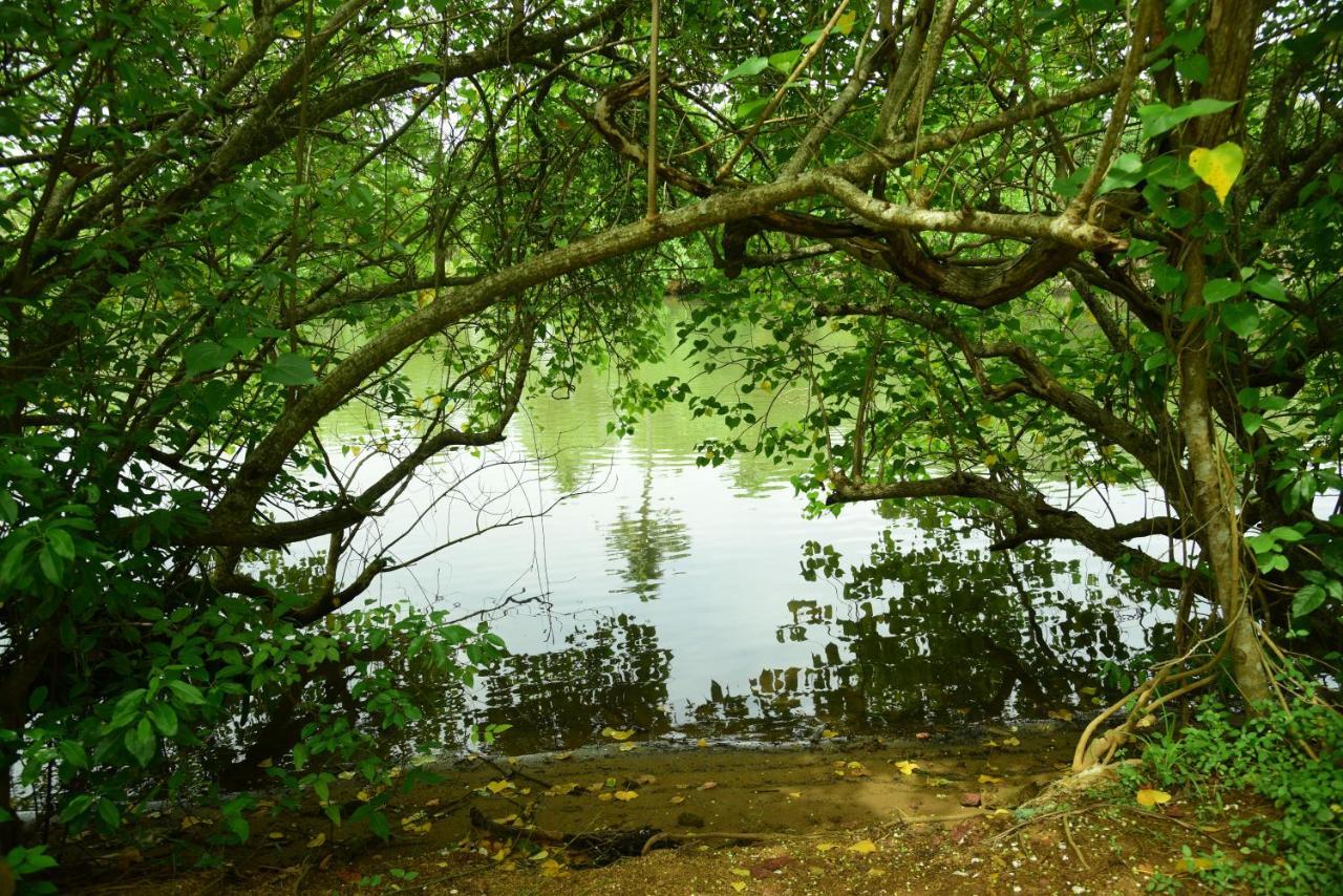 Lake N River Resort Munroe Island Mundrothuruth Ngoại thất bức ảnh